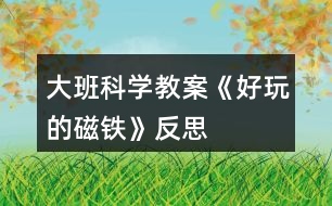 大班科學教案《好玩的磁鐵》反思