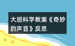 大班科學教案《奇妙的聲音》反思