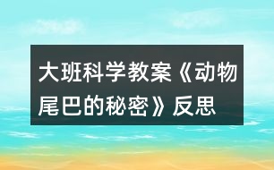 大班科學教案《動物尾巴的秘密》反思