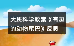 大班科學(xué)教案《有趣的動物尾巴》反思