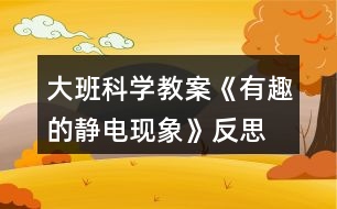 大班科學教案《有趣的靜電現(xiàn)象》反思