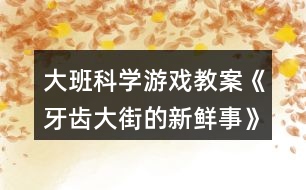 大班科學游戲教案《牙齒大街的新鮮事》反思