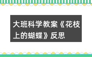 大班科學(xué)教案《花枝上的蝴蝶》反思