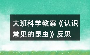 大班科學教案《認識常見的昆蟲》反思