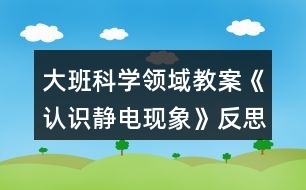 大班科學領(lǐng)域教案《認識靜電現(xiàn)象》反思