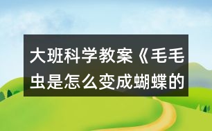 大班科學(xué)教案《毛毛蟲是怎么變成蝴蝶的》反思