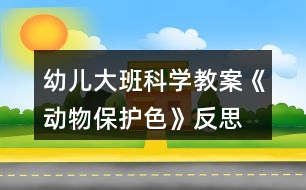 幼兒大班科學教案《動物保護色》反思