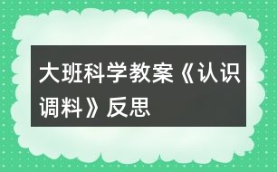 大班科學(xué)教案《認(rèn)識調(diào)料》反思