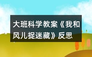 大班科學教案《我和風兒捉迷藏》反思