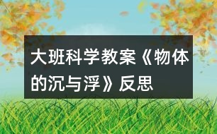 大班科學(xué)教案《物體的沉與浮》反思