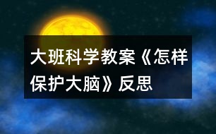 大班科學(xué)教案《怎樣保護(hù)大腦》反思