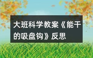 大班科學(xué)教案《能干的吸盤(pán)鉤》反思