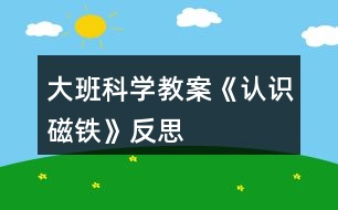 大班科學(xué)教案《認識磁鐵》反思