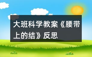 大班科學教案《腰帶上的“結”》反思