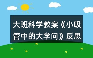 大班科學(xué)教案《小吸管中的大學(xué)問(wèn)》反思