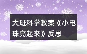 大班科學(xué)教案《小電珠亮起來(lái)》反思