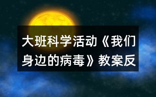 大班科學(xué)活動(dòng)《我們身邊的病毒》教案反思