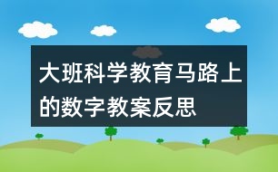 大班科學(xué)教育馬路上的數(shù)字教案反思