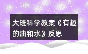 大班科學(xué)教案《有趣的油和水》反思