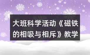 大班科學(xué)活動(dòng)《磁鐵的相吸與相斥》教學(xué)設(shè)計(jì)活動(dòng)反思