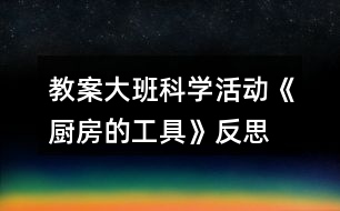 教案大班科學活動《廚房的工具》反思