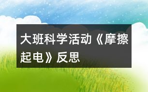 大班科學活動《摩擦起電》反思