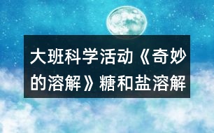 大班科學(xué)活動(dòng)《奇妙的溶解》（糖和鹽溶解）教案反思