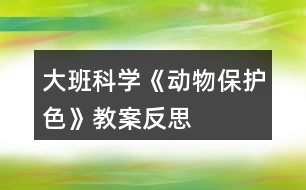 大班科學《動物保護色》教案反思