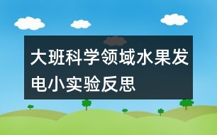 大班科學(xué)領(lǐng)域水果發(fā)電小實驗反思