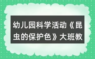 幼兒園科學(xué)活動《昆蟲的保護色》大班教案反思