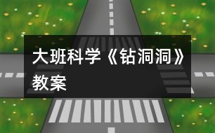 大班科學《鉆洞洞》教案