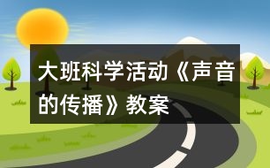 大班科學活動《聲音的傳播》教案