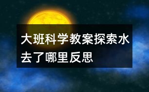 大班科學(xué)教案探索水去了哪里反思