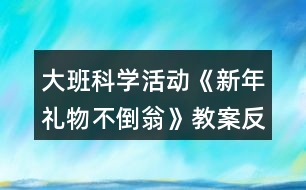 大班科學活動《新年禮物不倒翁》教案反思