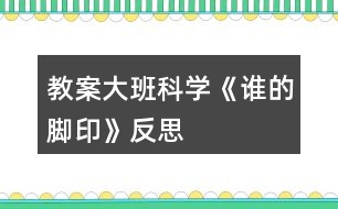 教案大班科學《誰的腳印》反思