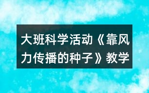 大班科學活動《靠風力傳播的種子》教學設計活動反思