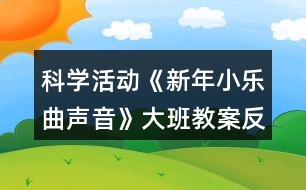 科學(xué)活動《新年小樂曲聲音》大班教案反思