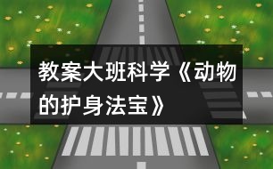 教案大班科學《動物的護身法寶》