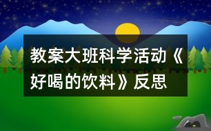 教案大班科學(xué)活動《好喝的飲料》反思