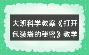 大班科學(xué)教案《打開包裝袋的秘密》教學(xué)反思