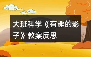 大班科學《有趣的影子》教案反思