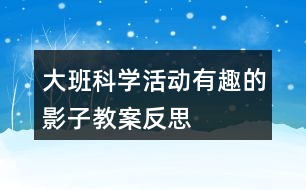 大班科學(xué)活動(dòng)有趣的影子教案反思