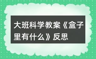 大班科學(xué)教案《盒子里有什么》反思