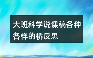 大班科學(xué)說(shuō)課稿各種各樣的橋反思