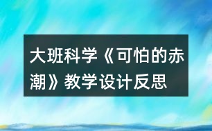 大班科學(xué)《可怕的赤潮》教學(xué)設(shè)計反思