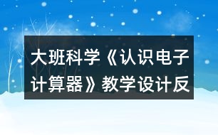 大班科學(xué)《認(rèn)識(shí)電子計(jì)算器》教學(xué)設(shè)計(jì)反思