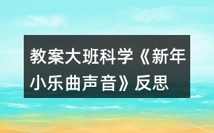 教案大班科學《新年小樂曲—聲音》反思