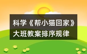 科學《幫小貓回家》大班教案排序規(guī)律