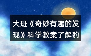 大班《奇妙有趣的發(fā)現(xiàn)》科學(xué)教案了解豹紋守宮