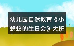 幼兒園自然教育《小螞蟻的生日會》大班科學教案